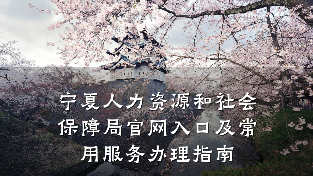 宁夏人力资源和社会保障局官网入口及常用服务办理指南