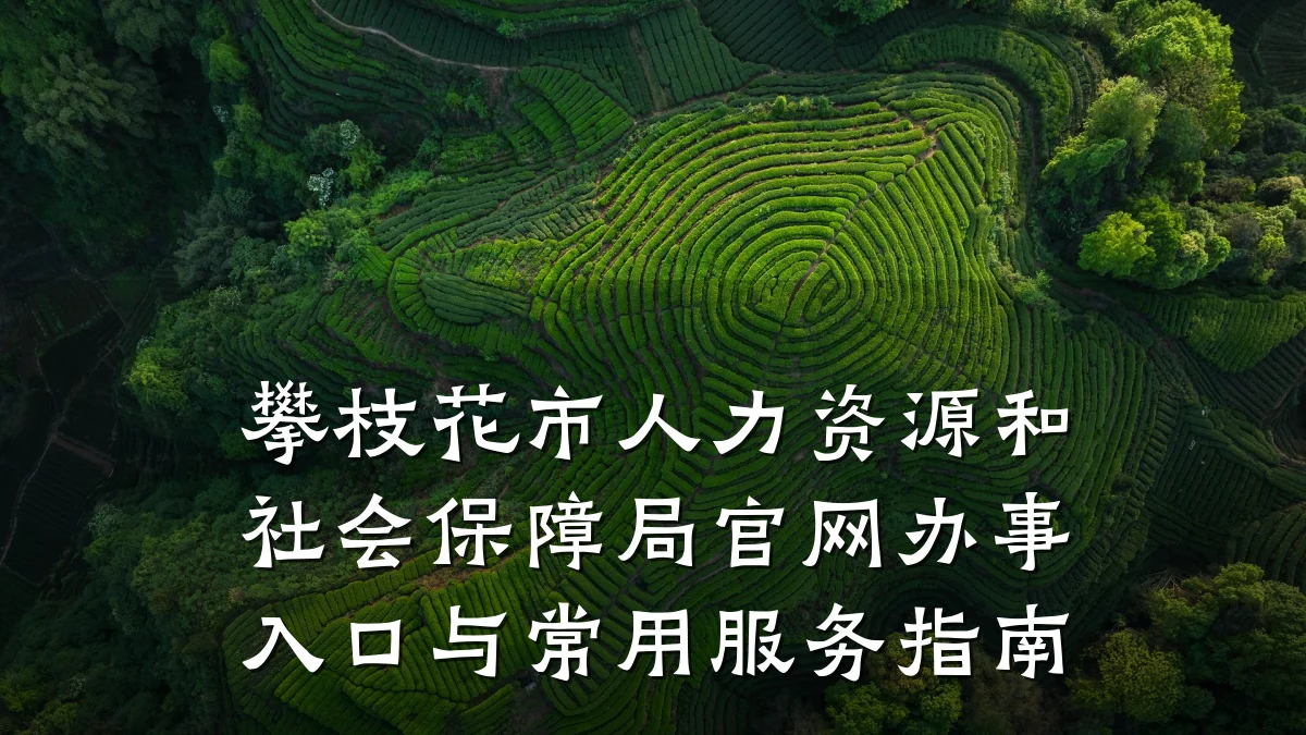 攀枝花市人力资源和社会保障局官网办事入口与常用服务指南