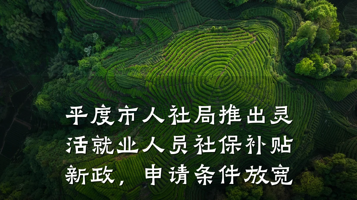 平度市人社局推出灵活就业人员社保补贴新政,申请条件放宽