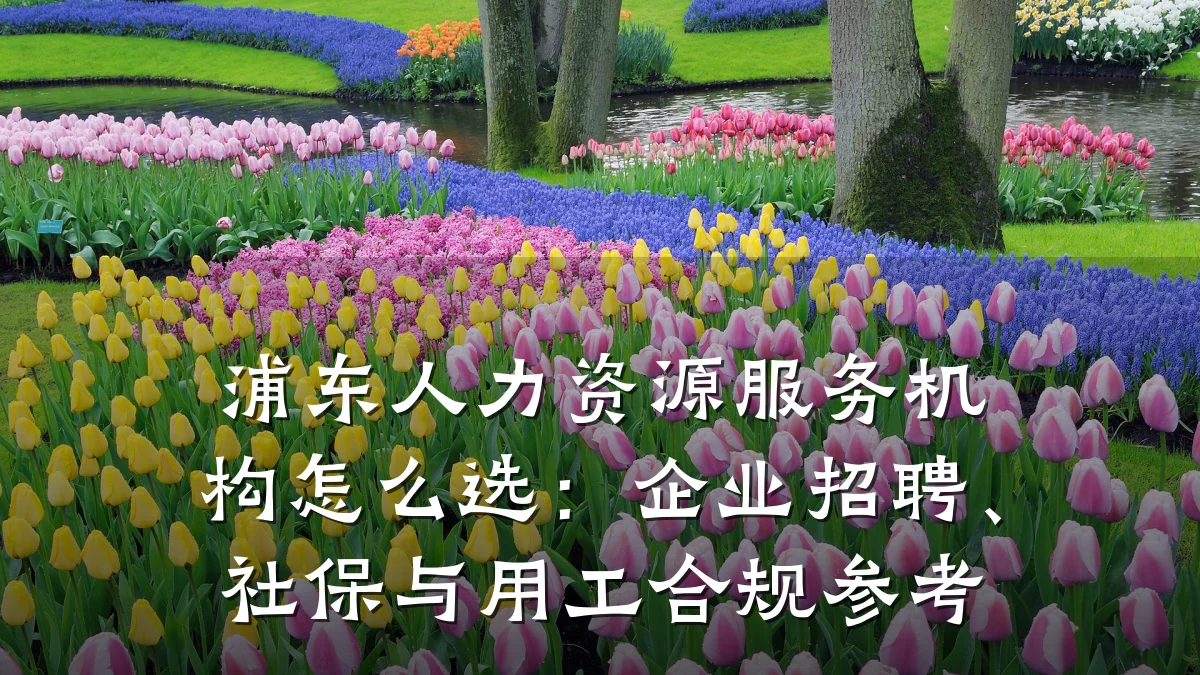 浦东人力资源服务机构怎么选:企业招聘、社保与用工合规参考