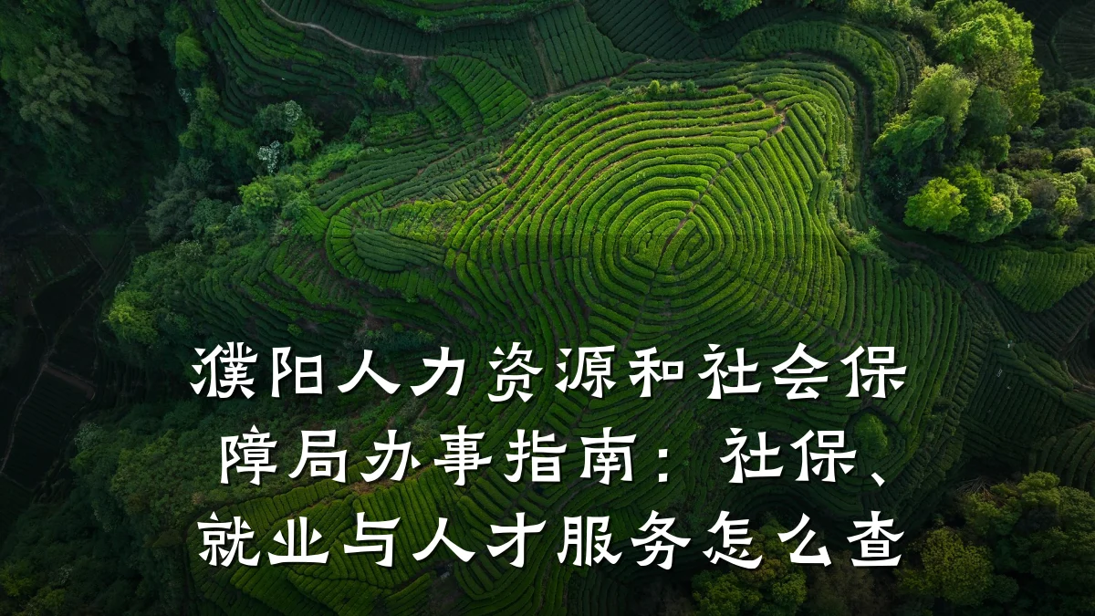 濮阳人力资源和社会保障局办事指南：社保、就业与人才服务怎么查