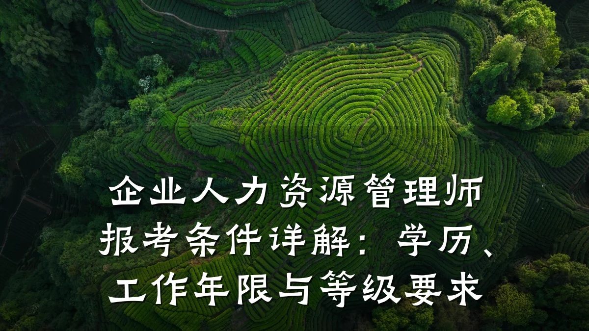 企业人力资源管理师报考条件详解:学历、工作年限与等级要求