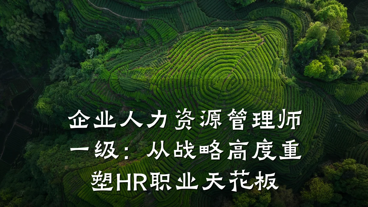 企业人力资源管理师一级:从战略高度重塑HR职业天花板