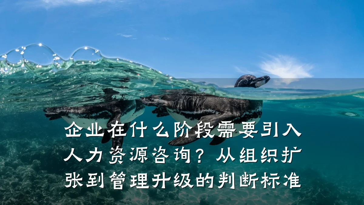 企业在什么阶段需要引入人力资源咨询？从组织扩张到管理升级的判断标准