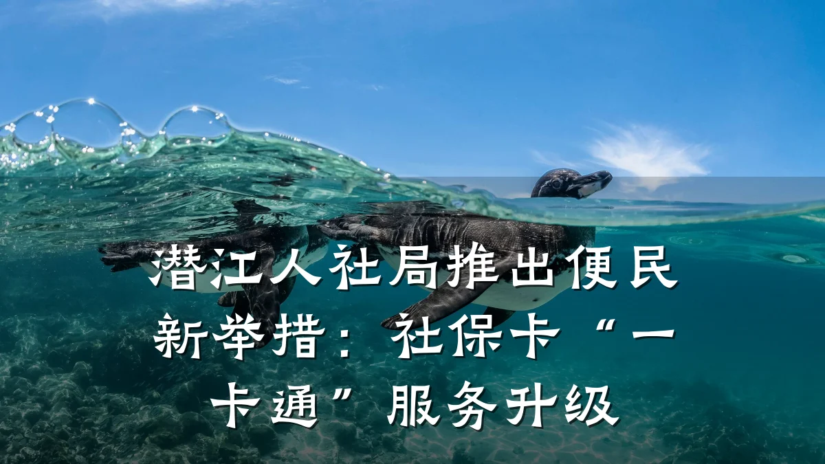 潜江人社局推出便民新举措：社保卡“一卡通”服务升级