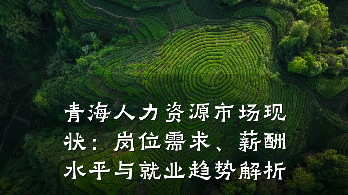 青海人力资源市场现状：岗位需求、薪酬水平与就业趋势解析