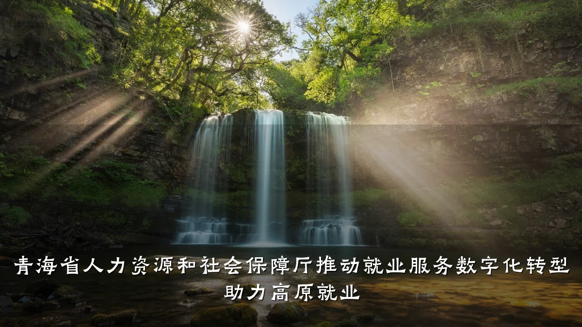 青海省人力资源和社会保障厅推动就业服务数字化转型 助力高原就业