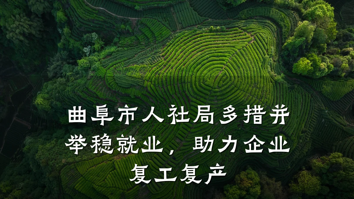 曲阜市人社局多措并举稳就业，助力企业复工复产