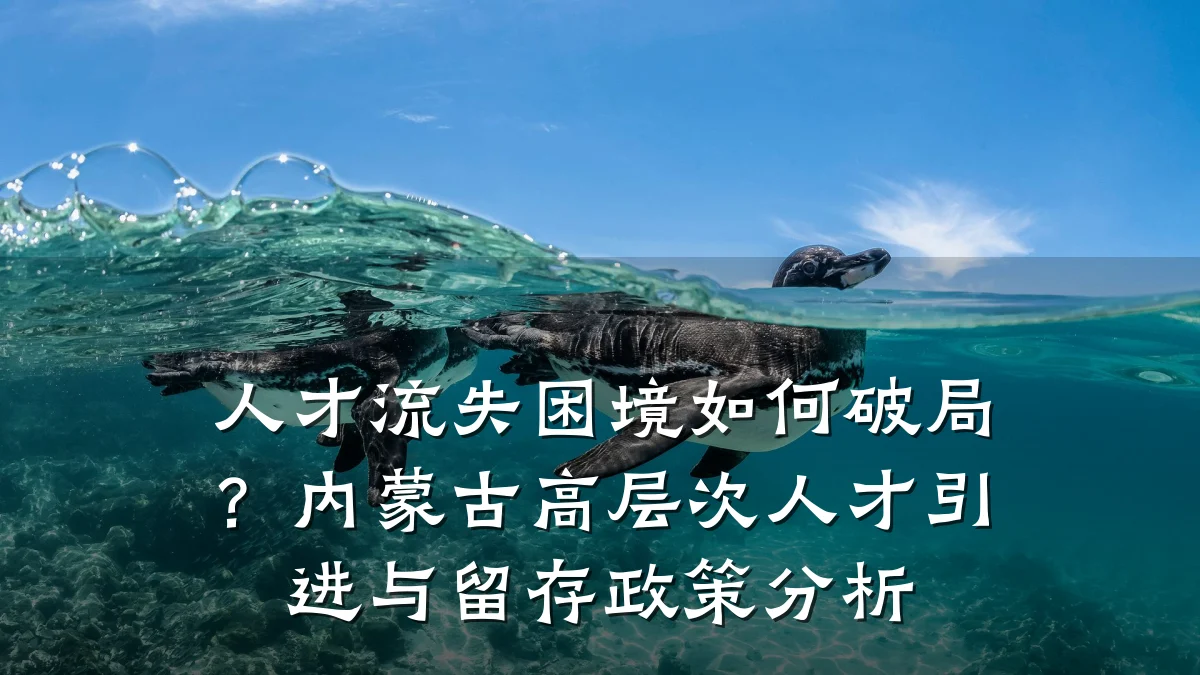 人才流失困境如何破局？内蒙古高层次人才引进与留存政策分析
