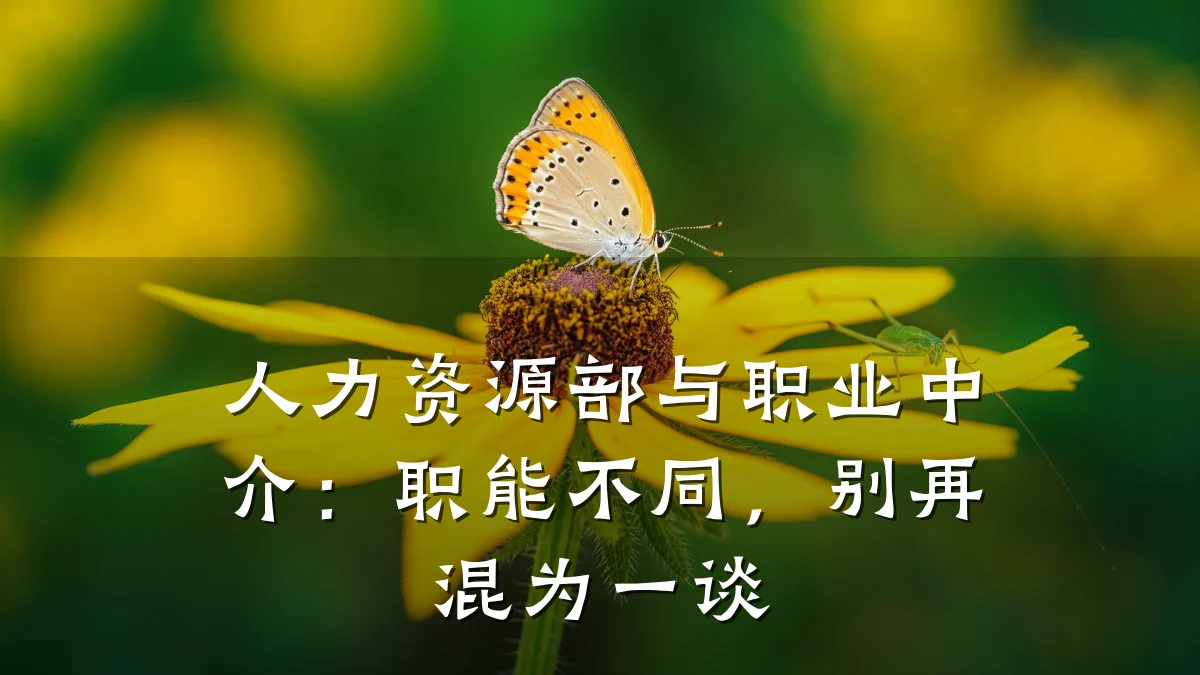 人力资源部与职业中介：职能不同，别再混为一谈
