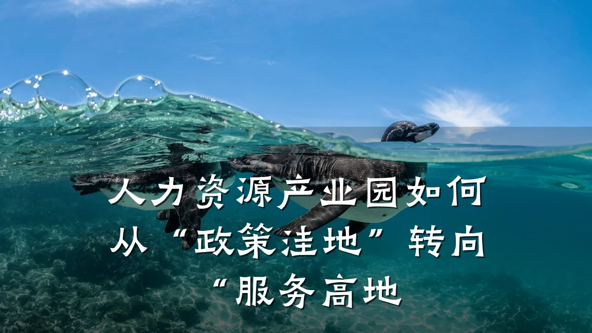 人力资源产业园如何从“政策洼地”转向“服务高地