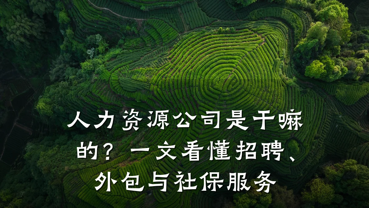 人力资源公司是干嘛的？一文看懂招聘、外包与社保服务