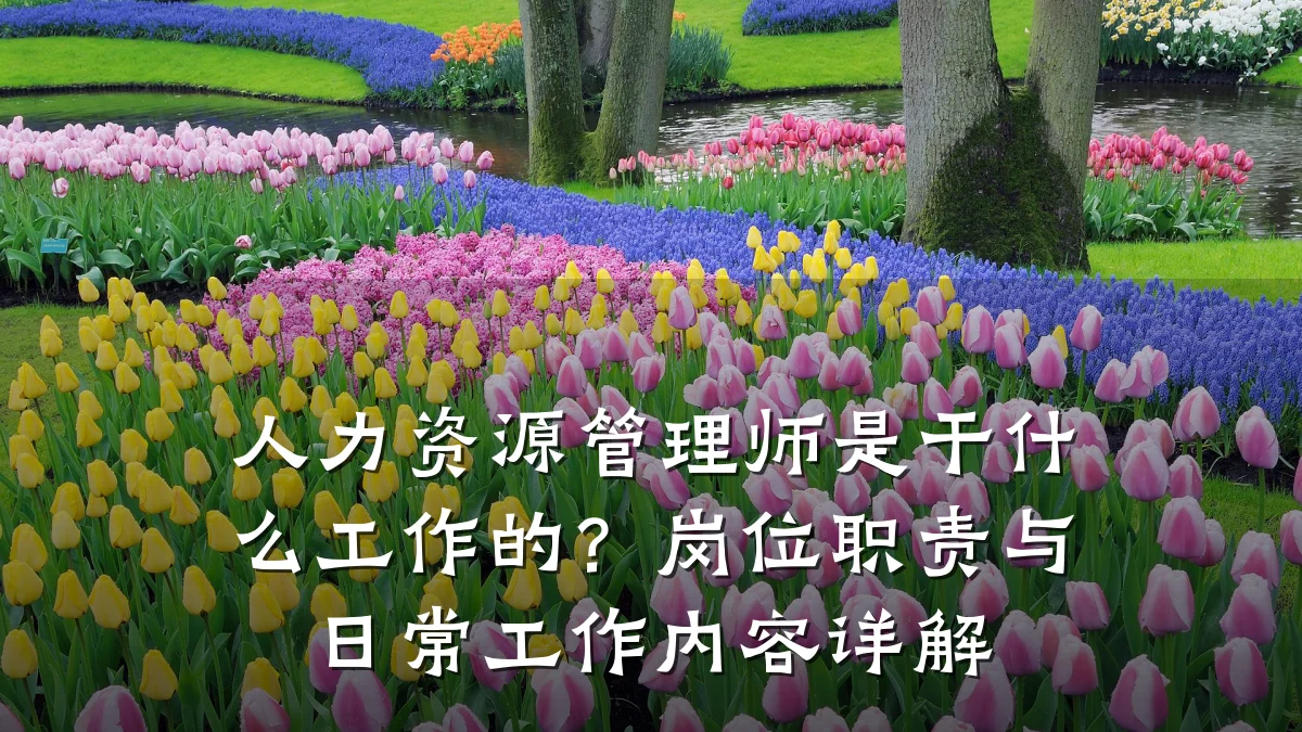 人力资源管理师是干什么工作的?岗位职责与日常工作内容详解