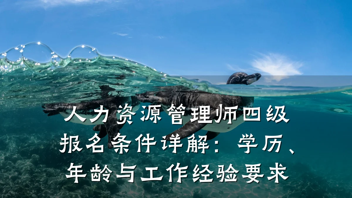人力资源管理师四级报名条件详解：学历、年龄与工作经验要求