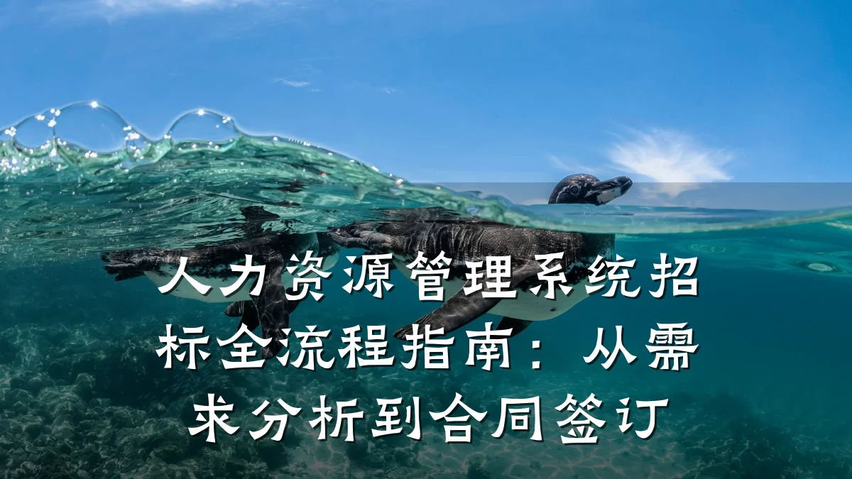 人力资源管理系统招标全流程指南：从需求分析到合同签订