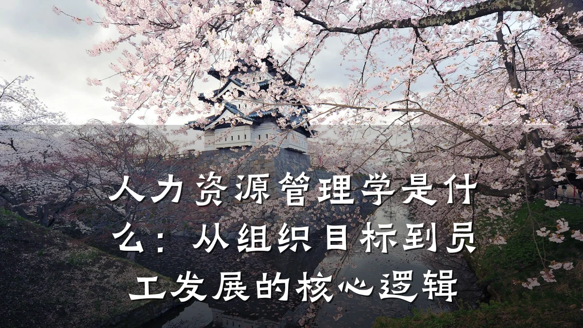 人力资源管理学是什么：从组织目标到员工发展的核心逻辑