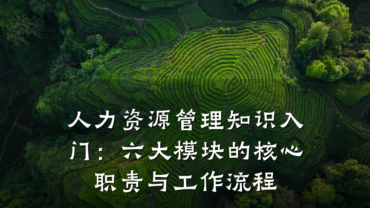 人力资源管理知识入门:六大模块的核心职责与工作流程