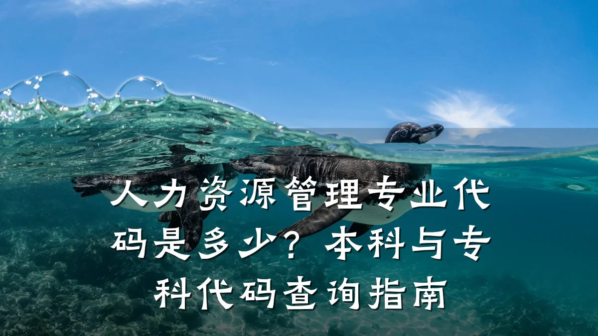 人力资源管理专业代码是多少?本科与专科代码查询指南