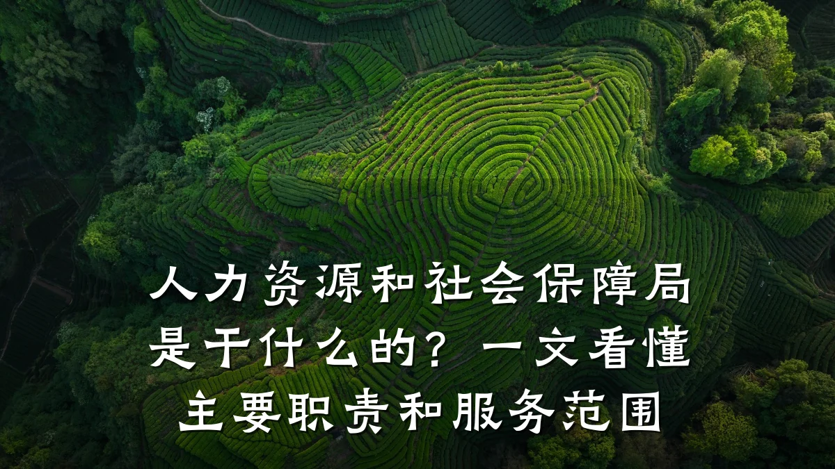 人力资源和社会保障局是干什么的?一文看懂主要职责和服务范围