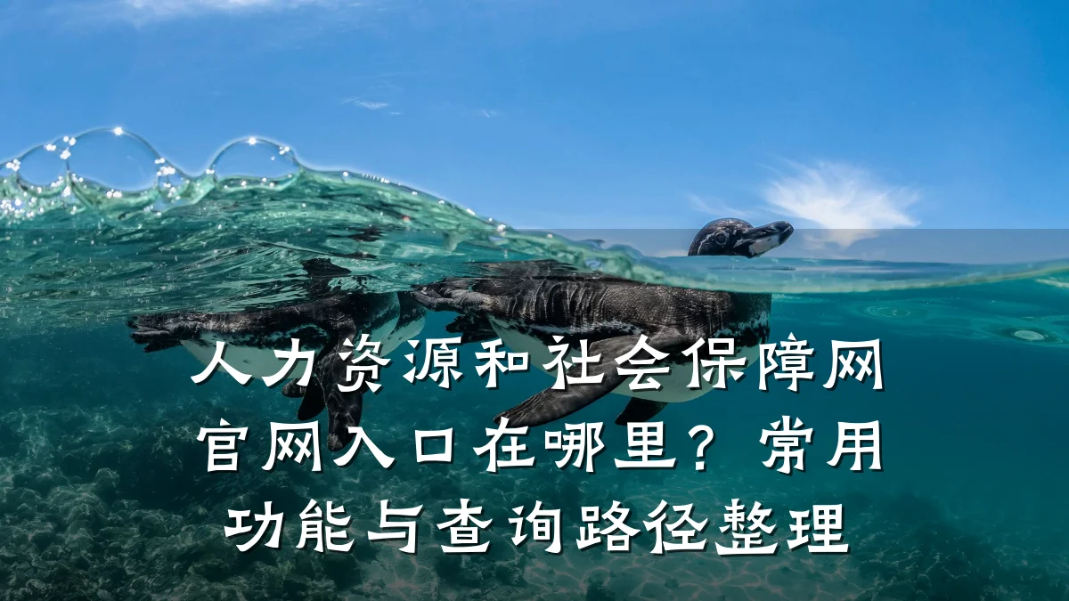 人力资源和社会保障网官网入口在哪里?常用功能与查询路径整理