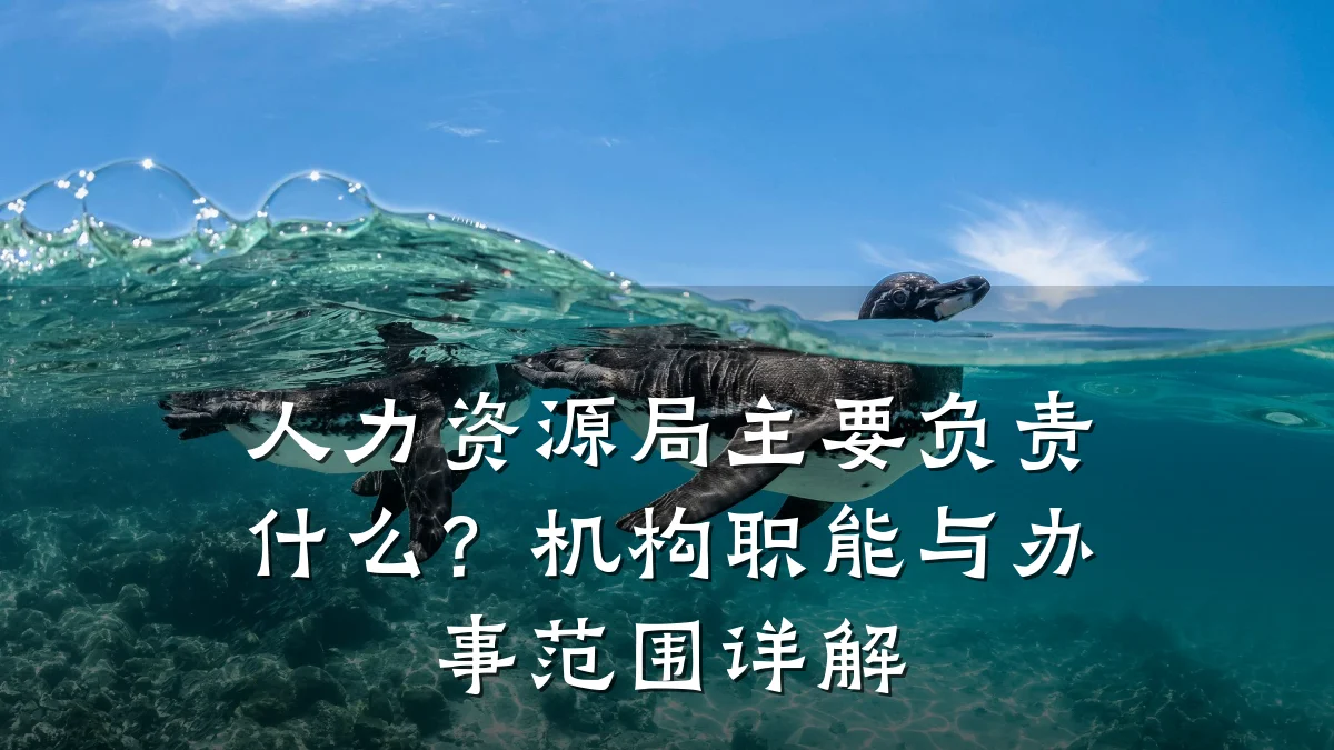 人力资源局主要负责什么?机构职能与办事范围详解