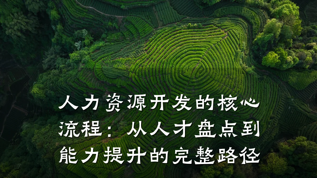 人力资源开发的核心流程：从人才盘点到能力提升的完整路径