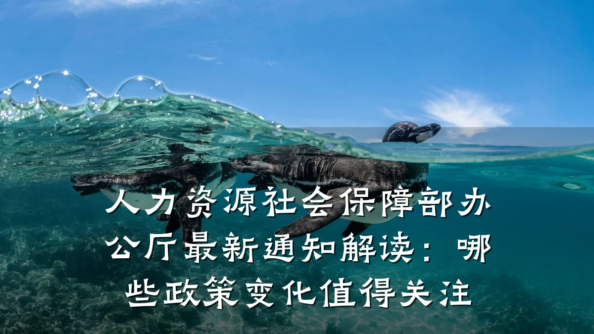 人力资源社会保障部办公厅最新通知解读:哪些政策变化值得关注
