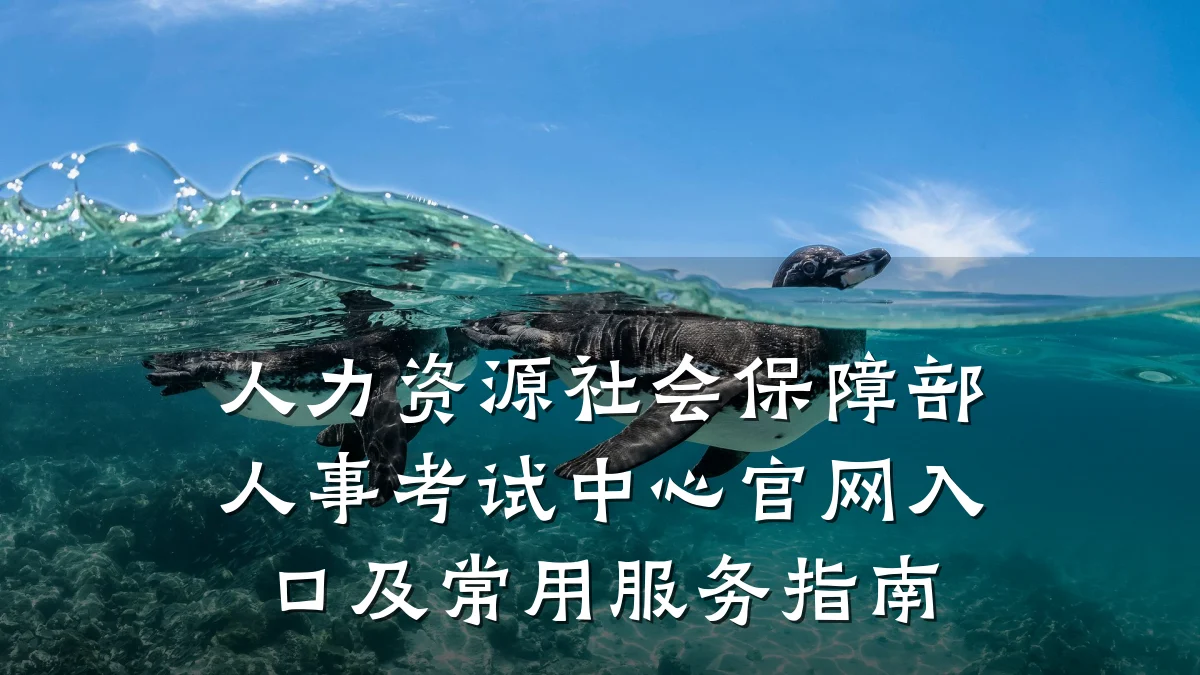 人力资源社会保障部人事考试中心官网入口及常用服务指南