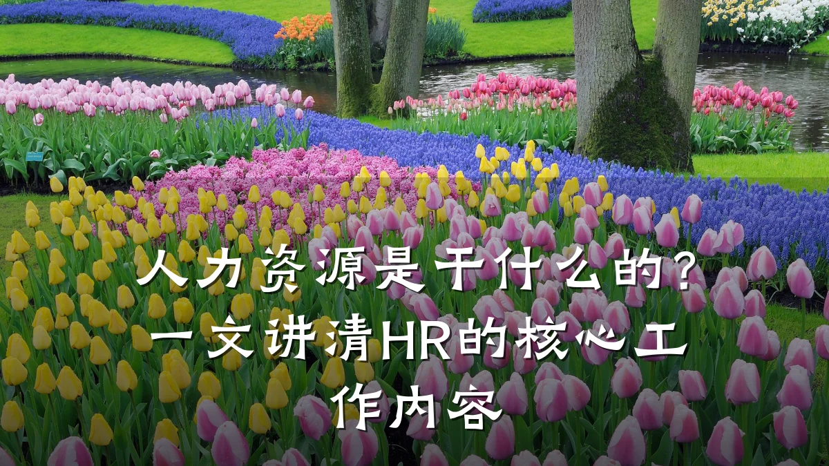 人力资源是干什么的?一文讲清HR的核心工作内容
