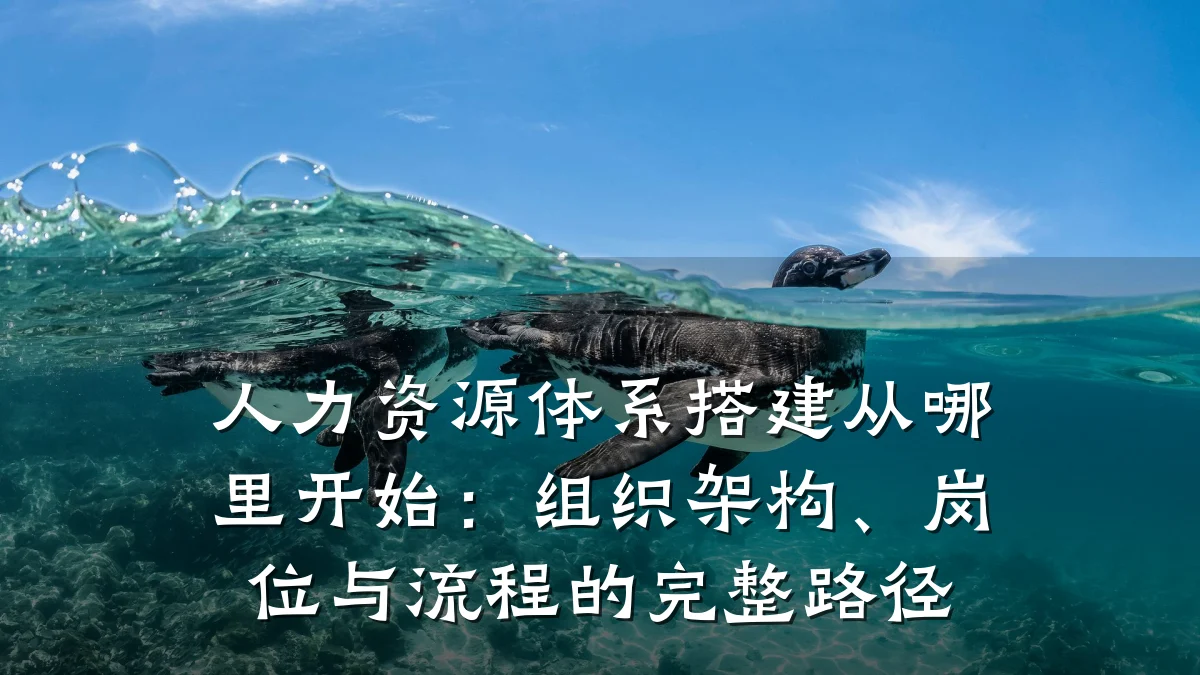 人力资源体系搭建从哪里开始：组织架构、岗位与流程的完整路径