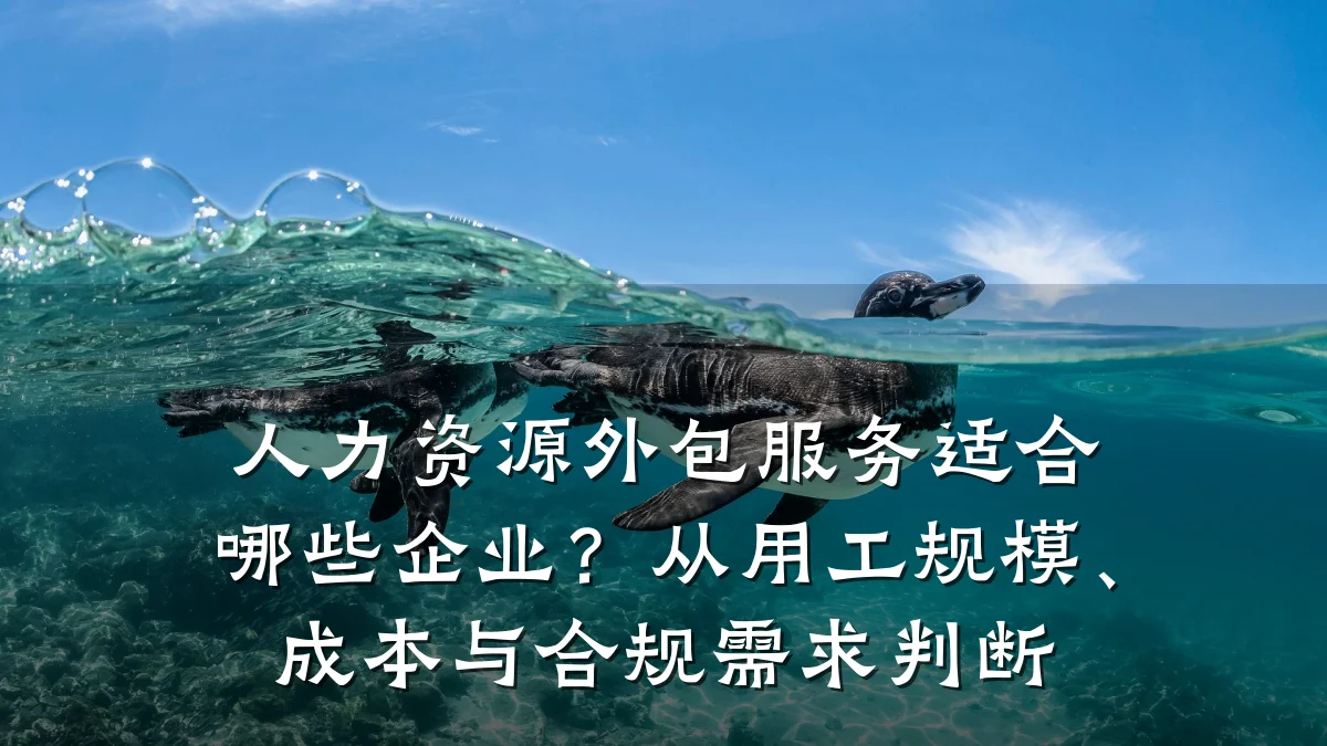 人力资源外包服务适合哪些企业?从用工规模、成本与合规需求判断