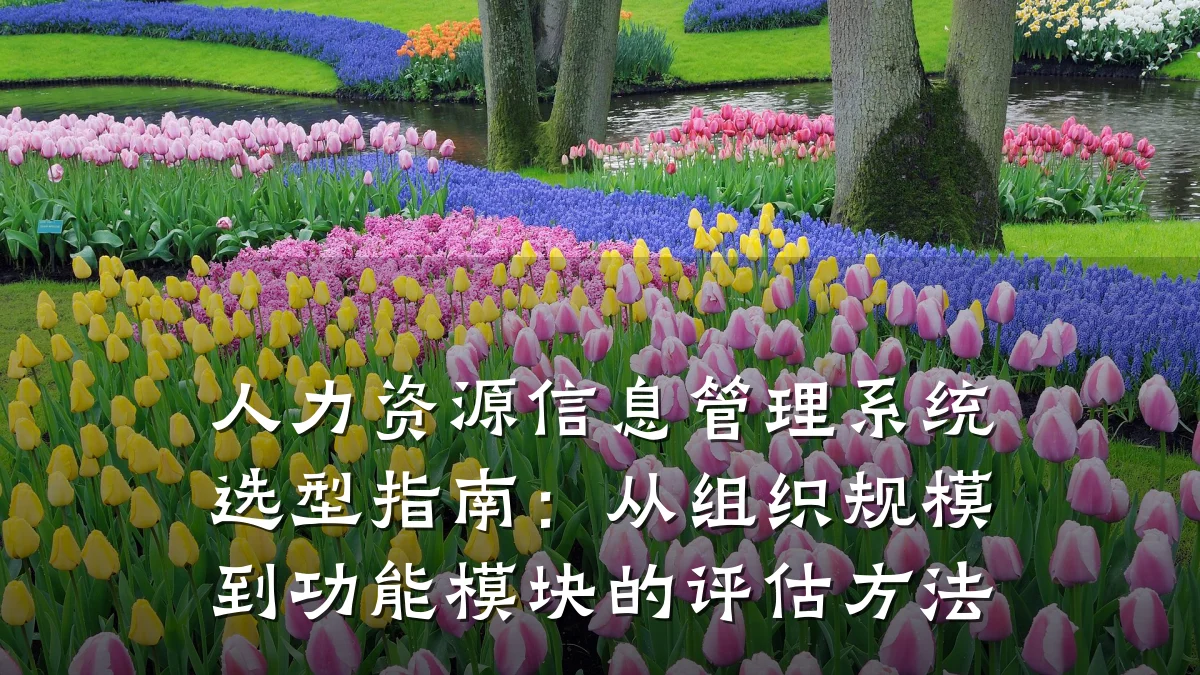 人力资源信息管理系统选型指南:从组织规模到功能模块的评估方法