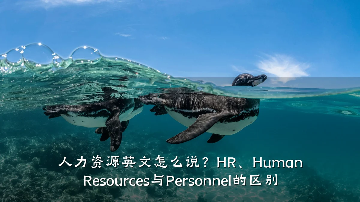 人力资源英文怎么说?HR、Human Resources与Personnel的区别
