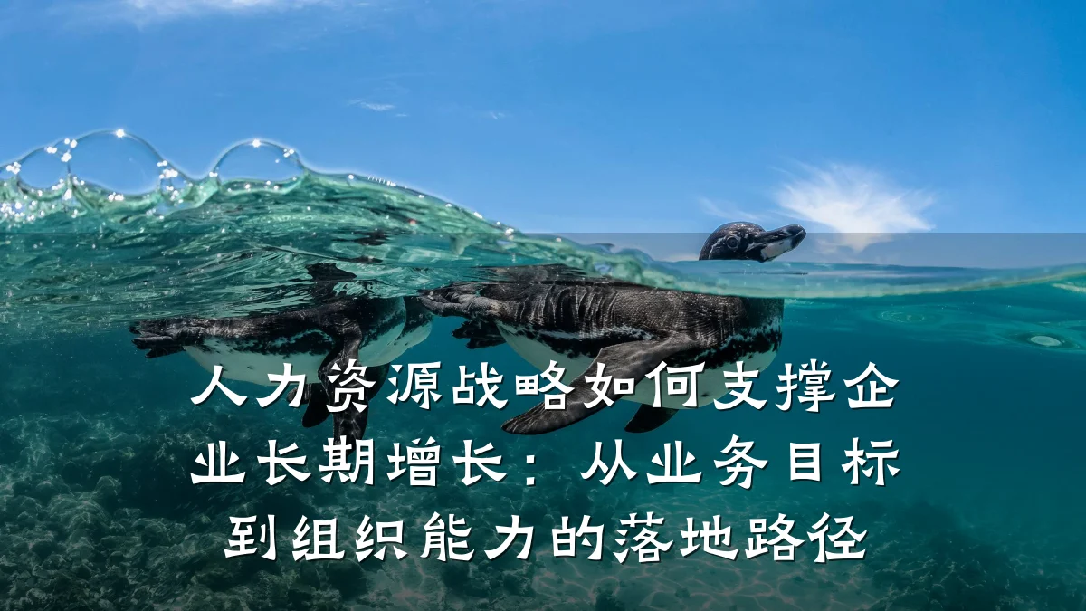 人力资源战略如何支撑企业长期增长：从业务目标到组织能力的落地路径