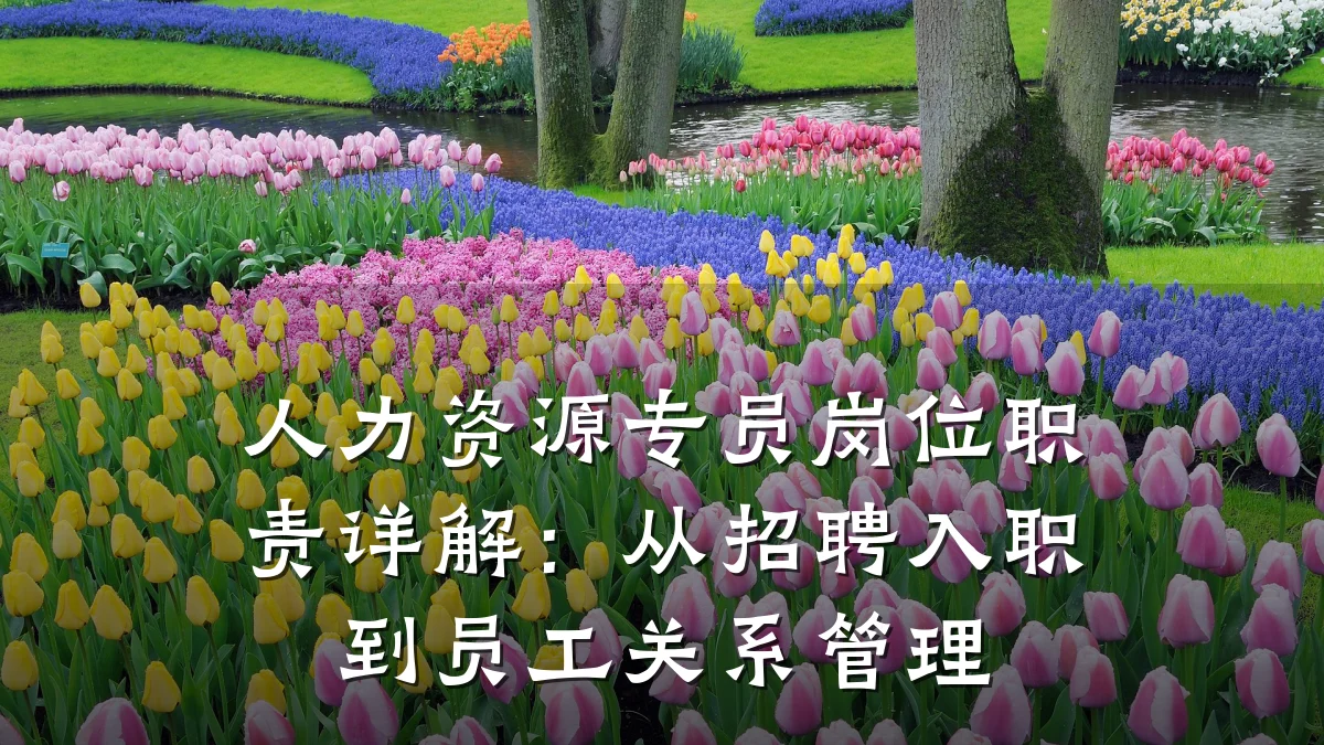 人力资源专员岗位职责详解：从招聘入职到员工关系管理