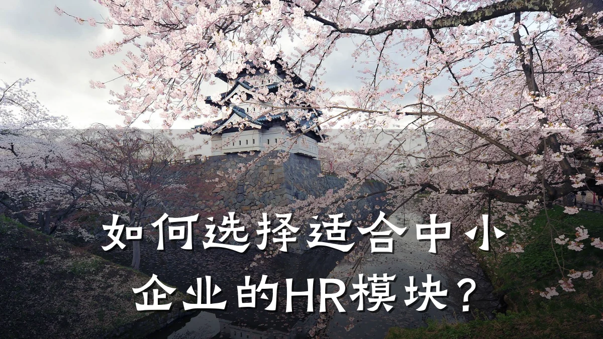 如何选择适合中小企业的HR模块?