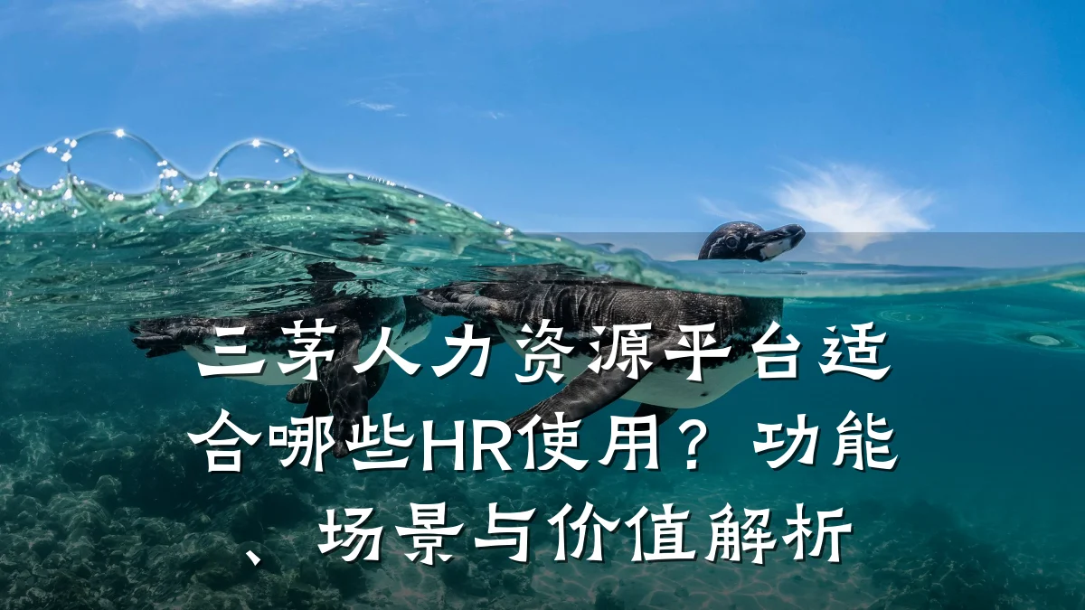 三茅人力资源平台适合哪些HR使用？功能、场景与价值解析