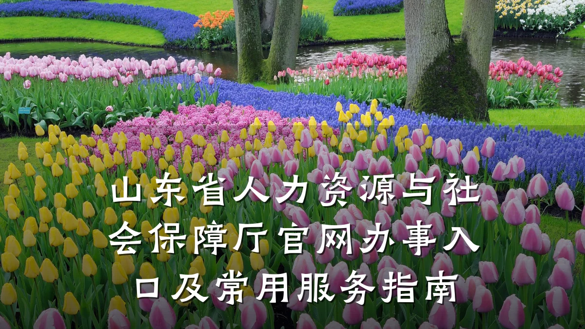 山东省人力资源与社会保障厅官网办事入口及常用服务指南