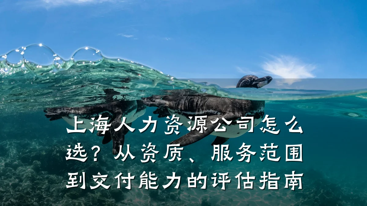 上海人力资源公司怎么选?从资质、服务范围到交付能力的评估指南