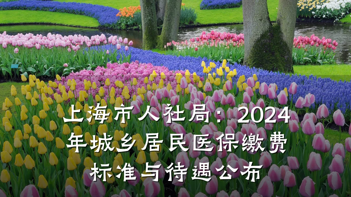 上海市人社局：2024年城乡居民医保缴费标准与待遇公布