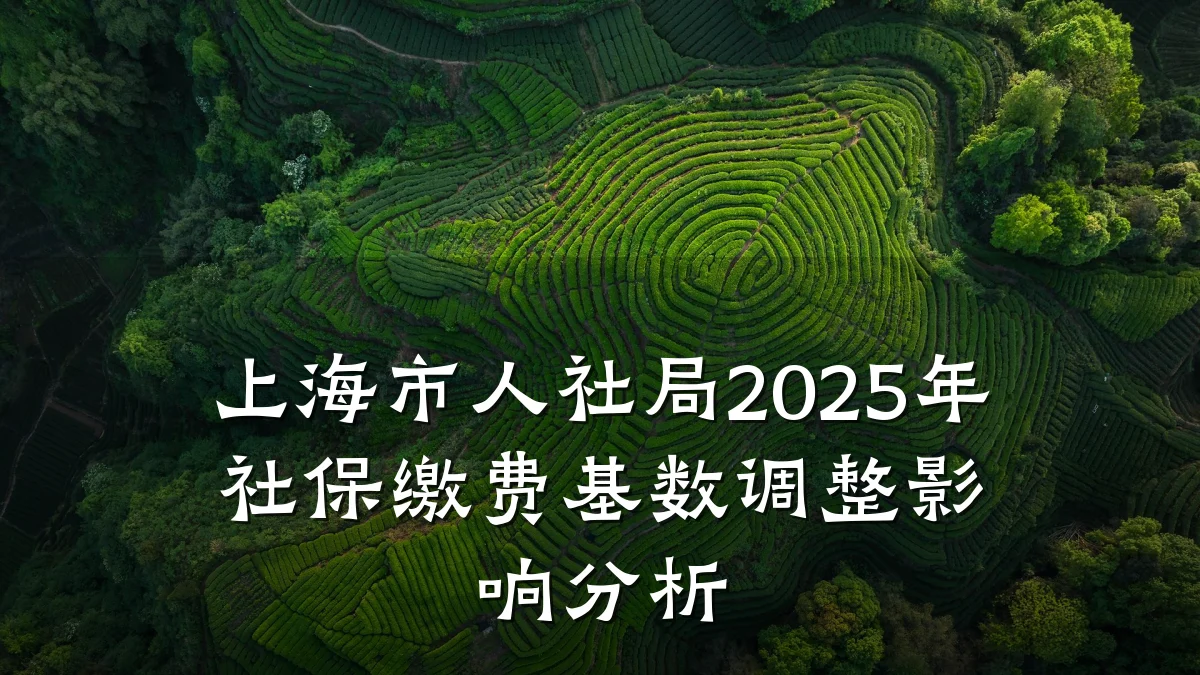 上海市人社局2025年社保缴费基数调整影响分析