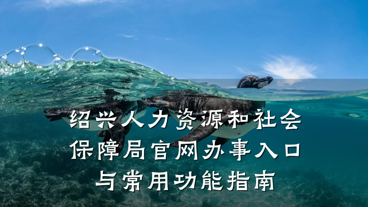 绍兴人力资源和社会保障局官网办事入口与常用功能指南