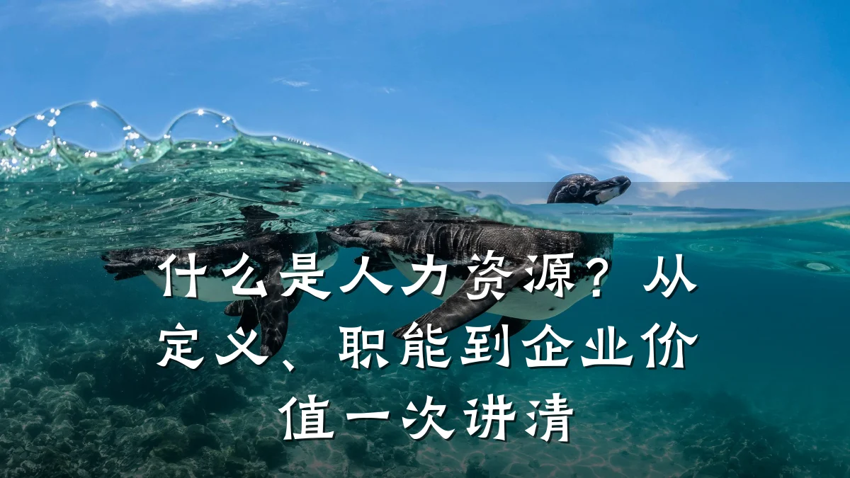什么是人力资源?从定义、职能到企业价值一次讲清