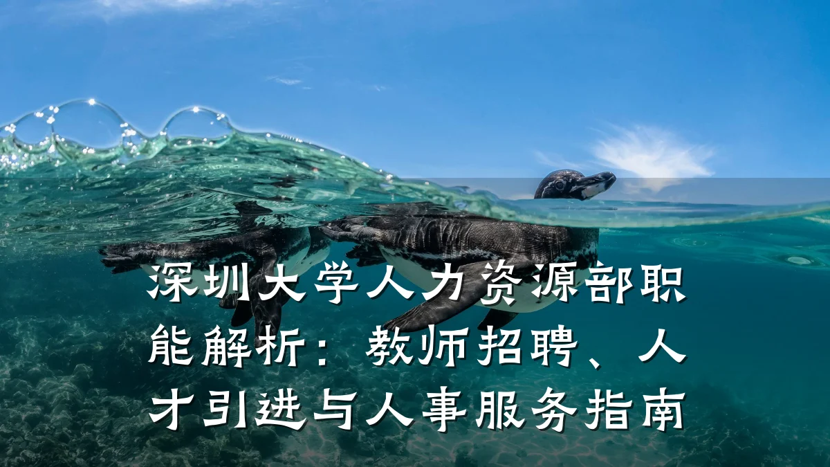 深圳大学人力资源部职能解析：教师招聘、人才引进与人事服务指南