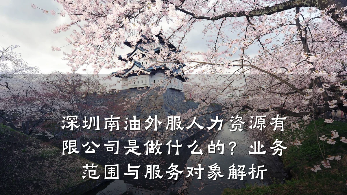 深圳南油外服人力资源有限公司是做什么的？业务范围与服务对象解析