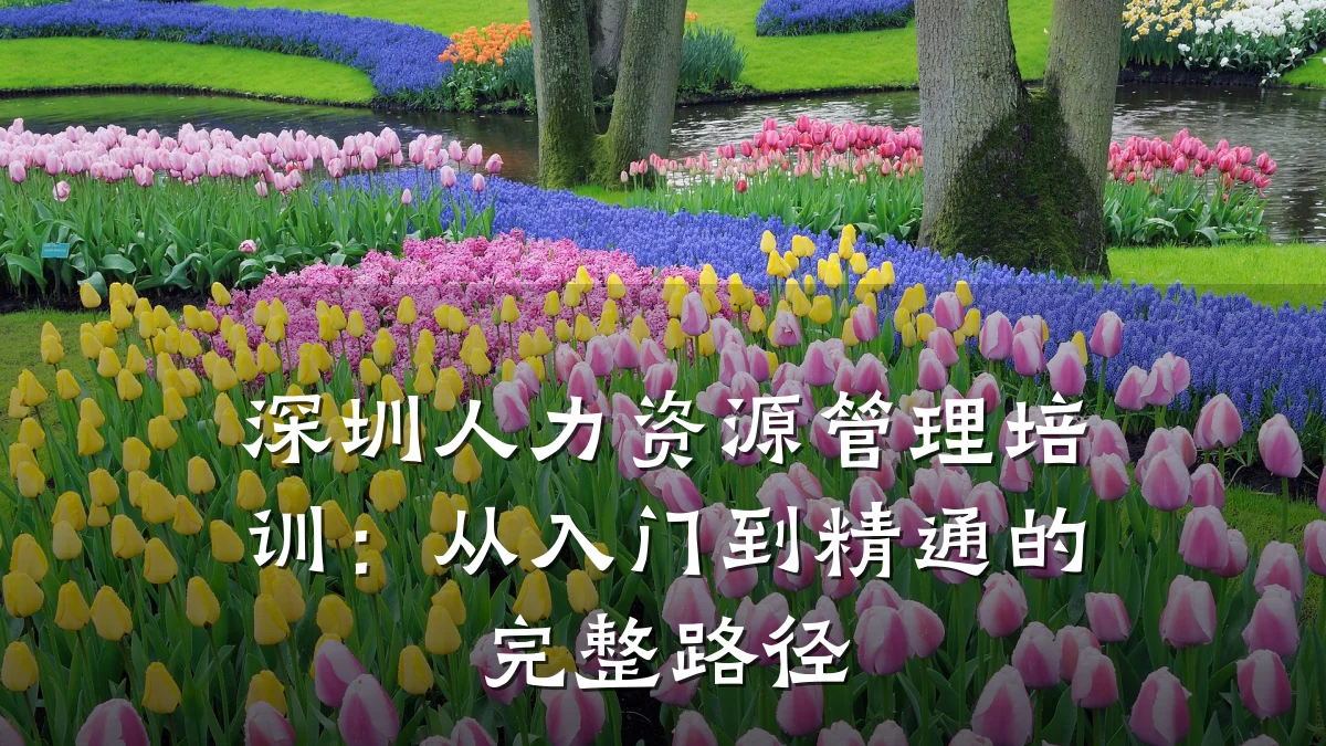 深圳人力资源管理培训:从入门到精通的完整路径