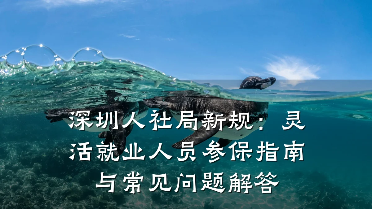 深圳人社局新规:灵活就业人员参保指南与常见问题解答