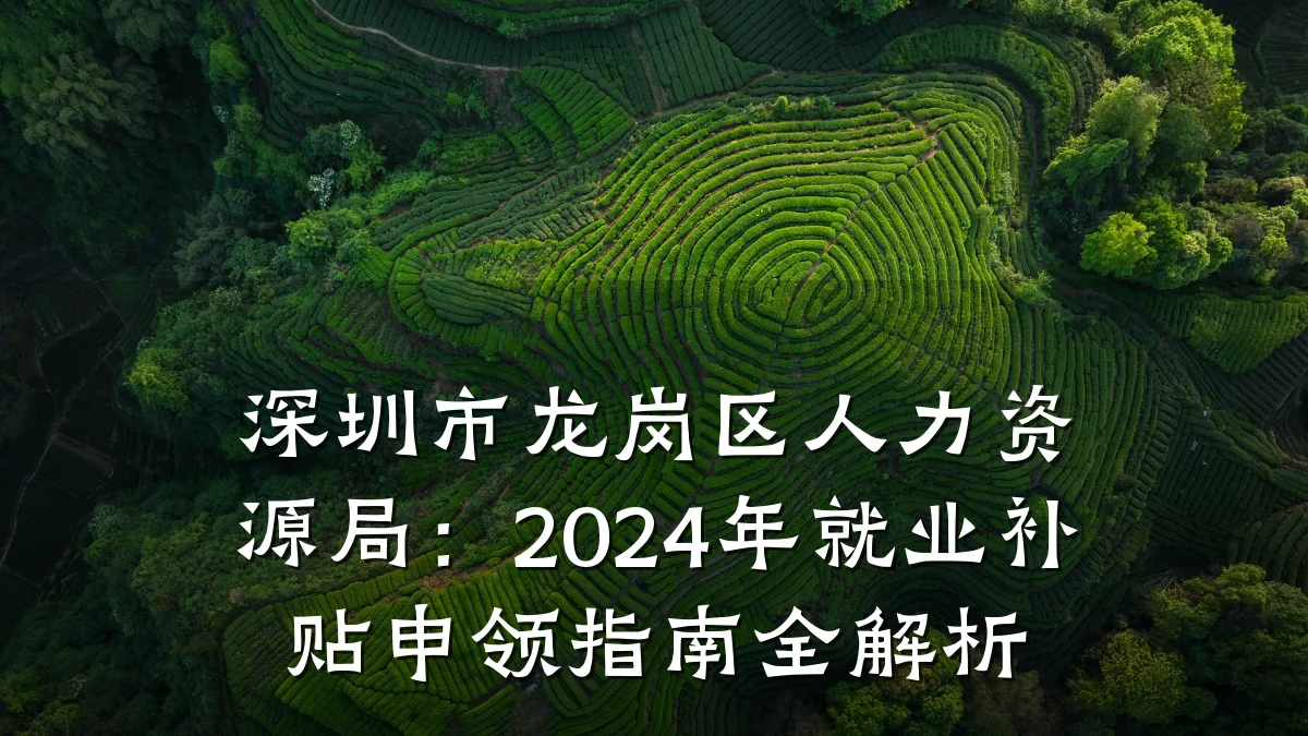 深圳市龙岗区人力资源局：2024年就业补贴申领指南全解析