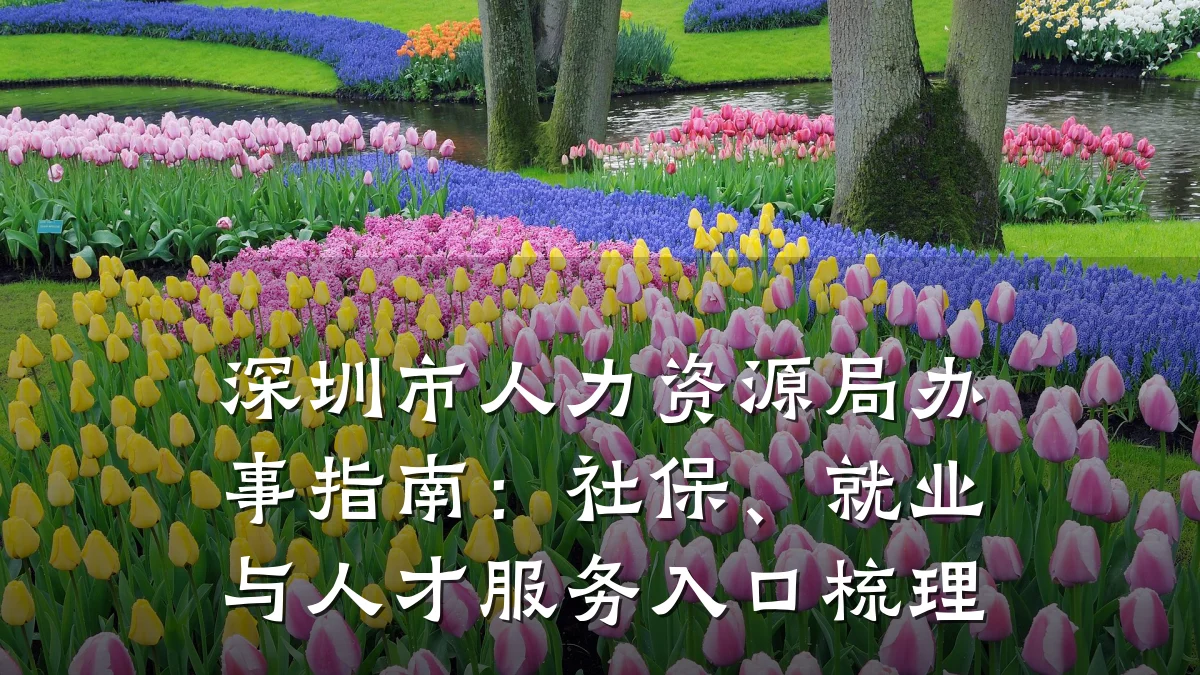 深圳市人力资源局办事指南:社保、就业与人才服务入口梳理