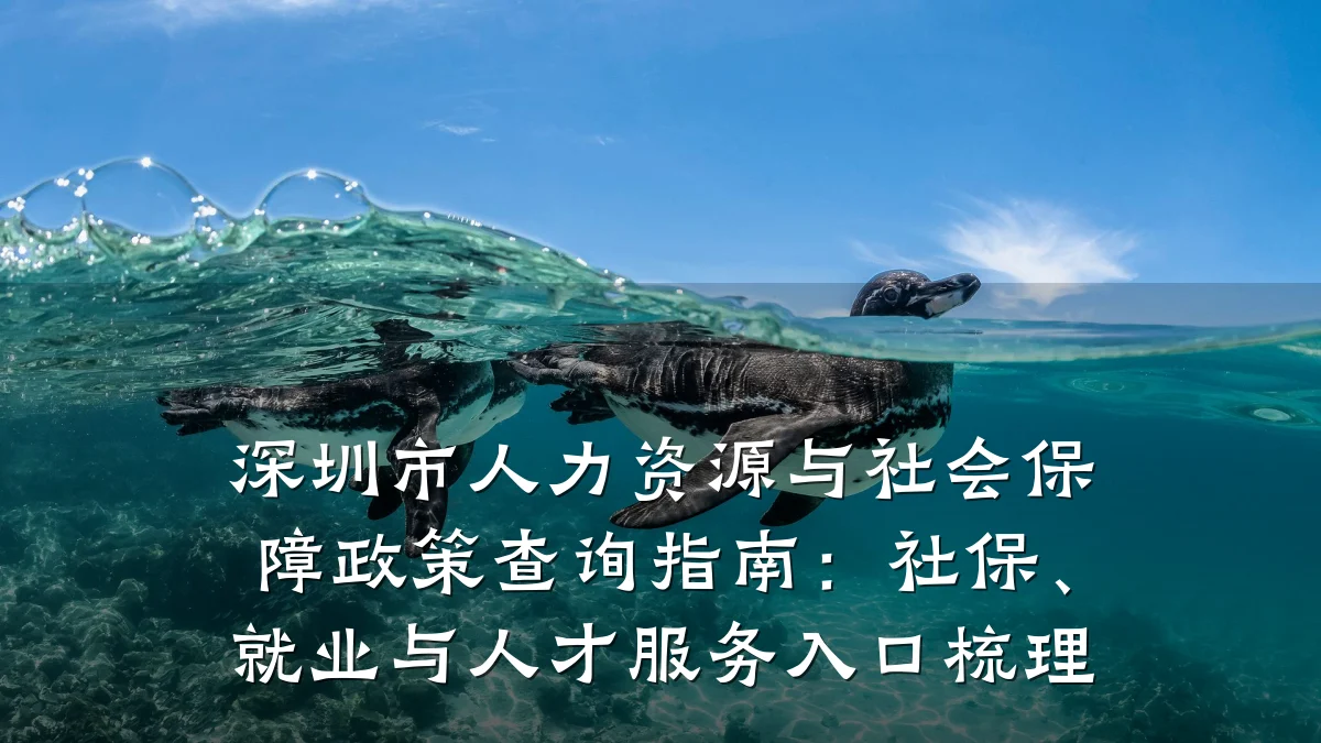 深圳市人力资源与社会保障政策查询指南:社保、就业与人才服务入口梳理